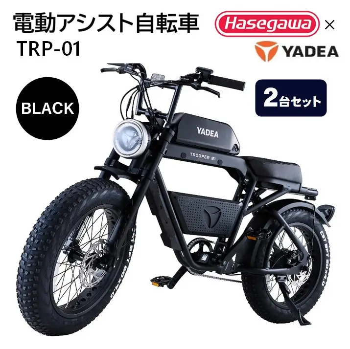 【２台セット】電動アシスト自転車 TRP-01 ブラック 電動 自転車 バイク 移動 アシスト 油圧ディスク 液晶 500W 前後サスペンション 