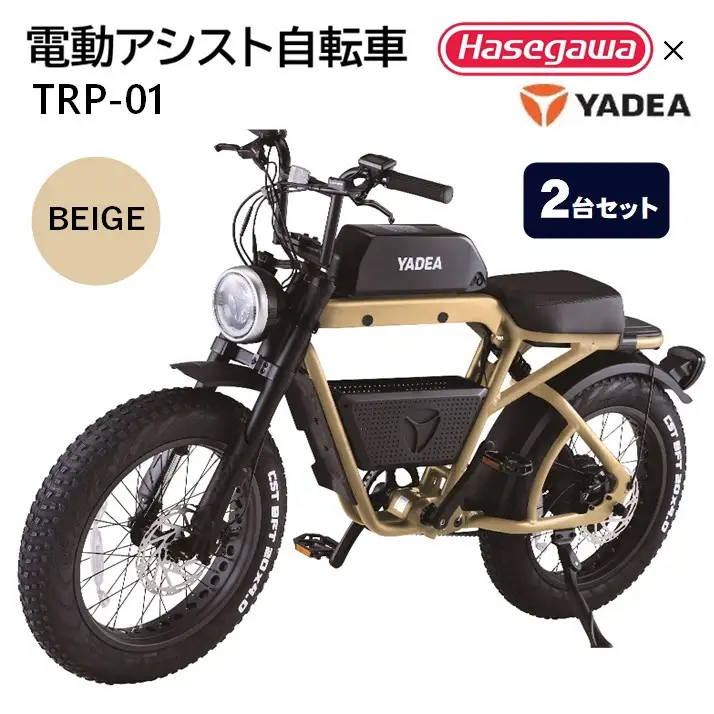 【２台セット】電動アシスト自転車 TRP-01 ベージュ 電動 自転車 バイク 移動 アシスト 油圧ディスク 液晶 500W 前後サスペンション