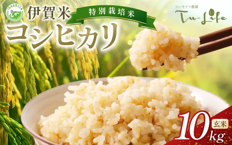 特別栽培米・伊賀米コシヒカリ 10kg〈玄米〉【tuli0006A】 
