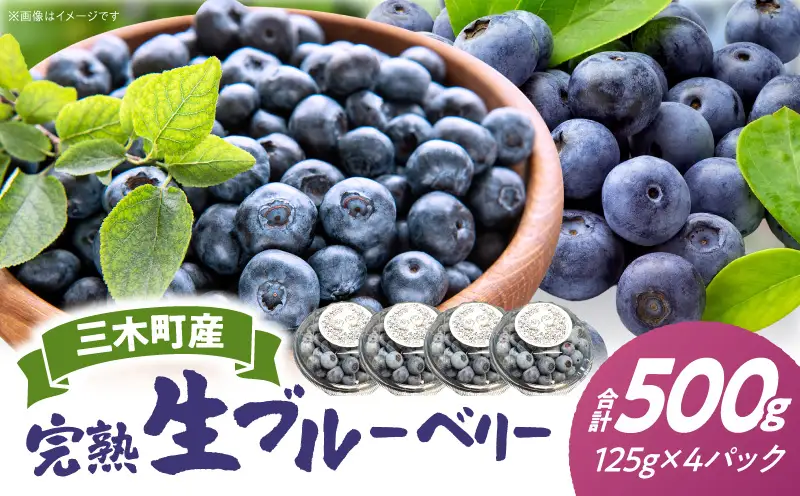完熟生ブルーベリー約500g|生ブルーベリー 完熟 フルーツ 眼に良い フレッシュ ジューシー 香り 旬の果物 香川県 三木町 |_mk173-005