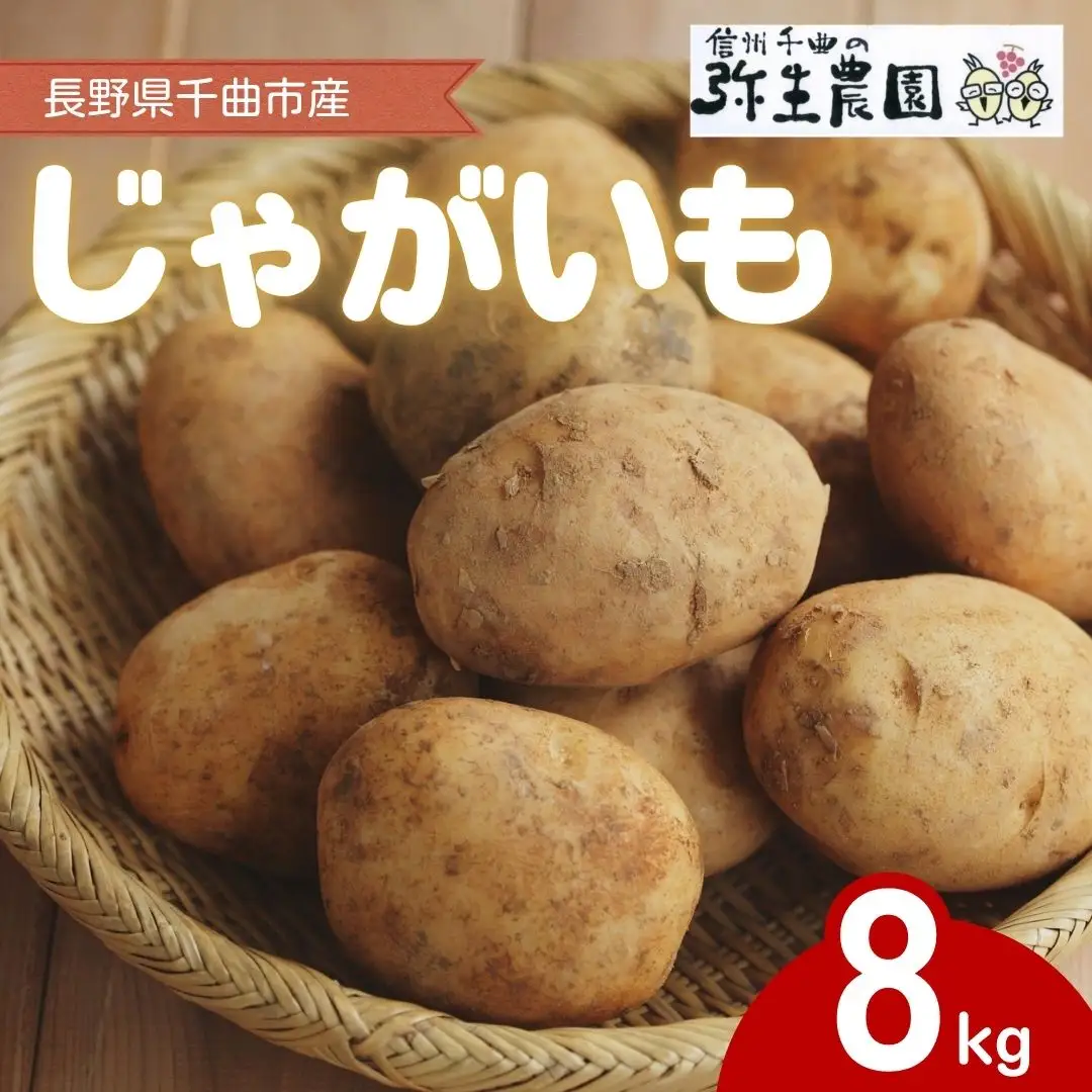 【2026年先行予約】千曲市産 じゃがいも 8kg | じゃがいも