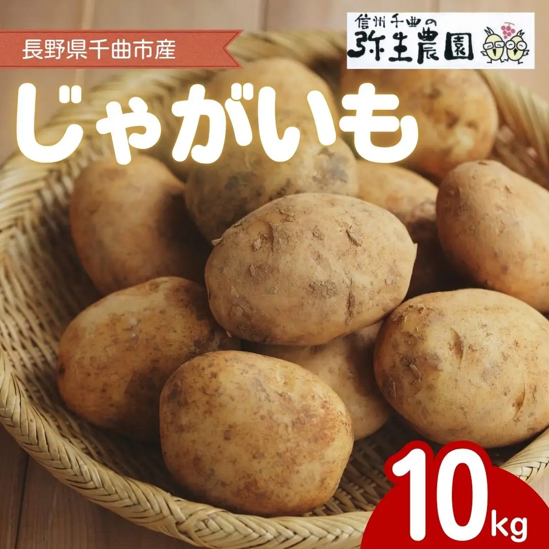 【2026年先行予約】千曲市産 じゃがいも 10kg | じゃがいも