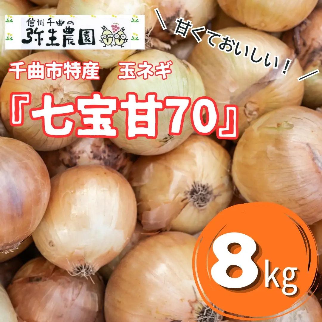 【2026年先行予約】千曲市特産 玉ネギ ｢七宝甘70｣ 8kg | 玉ねぎ