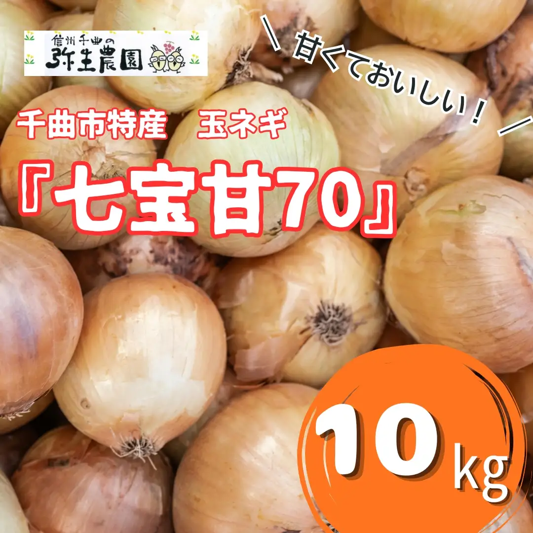 【2026年先行予約】千曲市特産 玉ネギ ｢七宝甘70｣ 10kg | 玉ねぎ