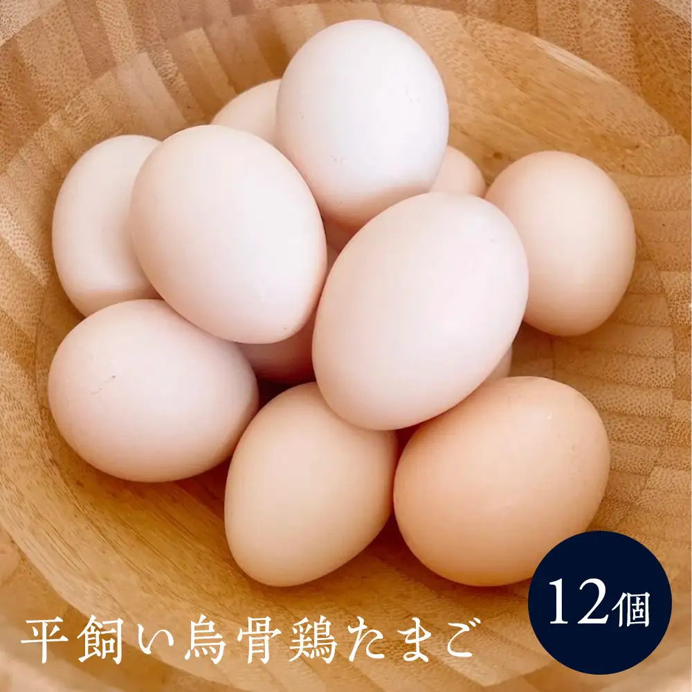 平飼い烏骨鶏のたまご12個 | 湯河原町 ミックスファーム 烏骨鶏 こだわり飼育 朝食