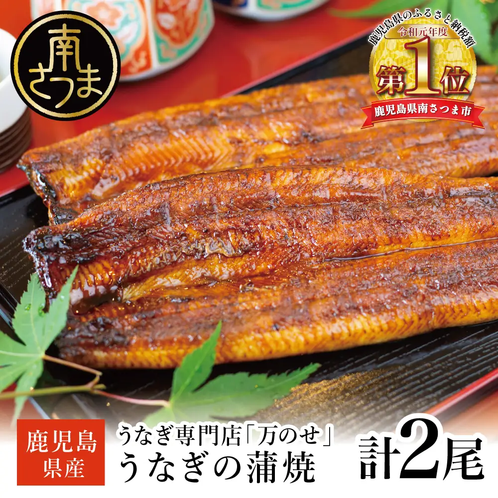 鹿児島県産 うなぎ蒲焼 2尾 セット うなぎ専門店 「万のせ」 ジューシー スタミナ ウナギ 鰻 蒲焼き 国産 ギフト うな重 たれ ひつまぶし 山椒 冷凍 簡単調理 土用 丑の日 贈り物 お取り寄せグルメ 冷凍 鹿児島県 南さつま市