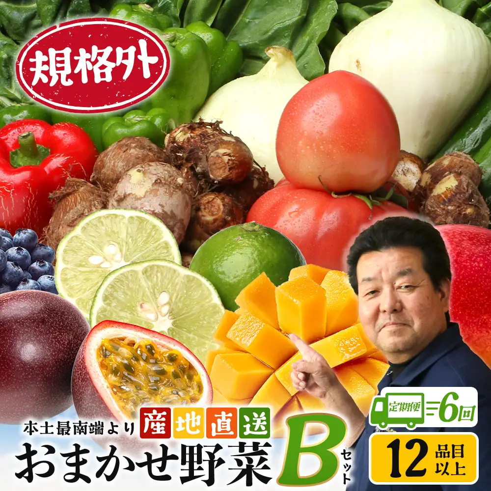 【定期便全6回】【規格外】本土最南端から 旬のおまかせ野菜セットB 12品目以上 NI-8 ｜ 旬 野菜 やさい 果物 くだもの 産地直送 農産物 冷蔵 鹿児島県 南大隅町産 詰合せ おまかせ 家庭用 訳あり なんたん市場
