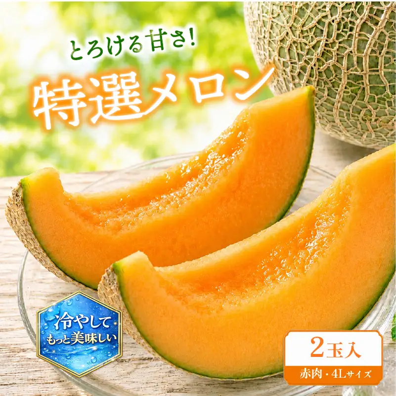 特選 メロン 赤肉 4L 2玉 メロン メロン メロン メロン