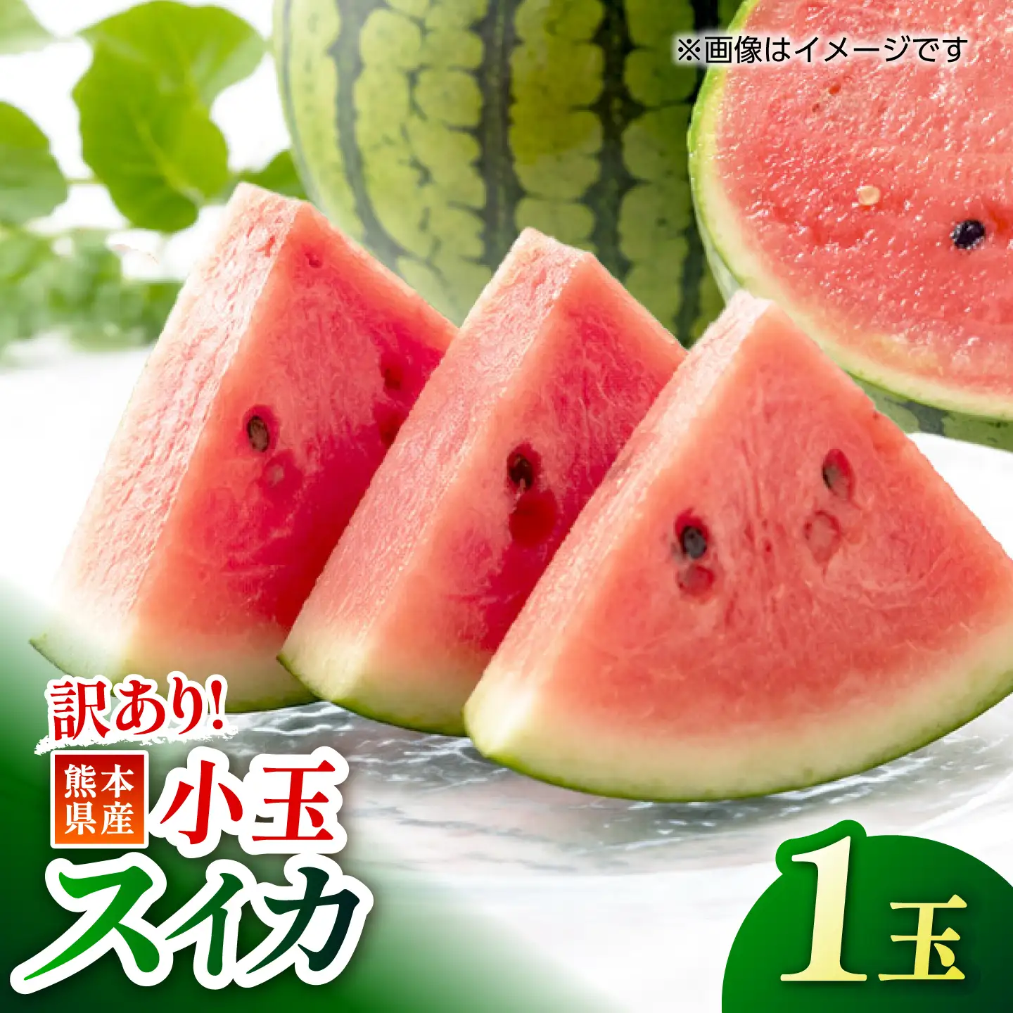 【訳あり】 小玉スイカ (1玉) すいか 小玉 フルーツ 果物 山鹿市 【くまふる】[ZBG091]