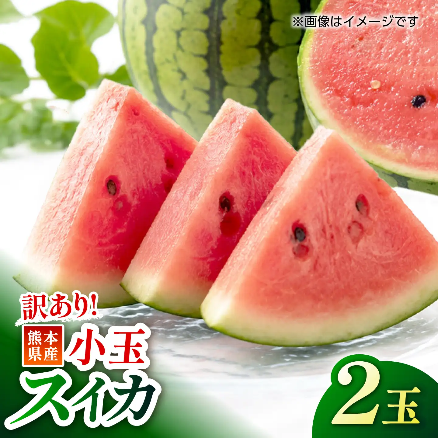 【訳あり】 小玉スイカ (2玉) すいか 小玉 フルーツ 果物 山鹿市 【くまふる】[ZBG092]