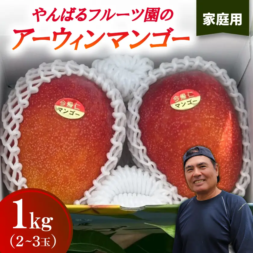 【2026年6月から順次発送・家庭用】やんばるフルーツ園のアーウィンマンゴー1.0kg(2～3玉)【配送不可地域：離島】【1740009】