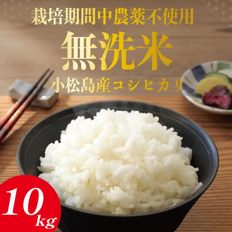 令和7年産 無洗米 10kg 栽培期間中農薬不使用 米 白米 お米 コメ こしひかり コシヒカリ おむすび おにぎり 徳島県産 小松島市