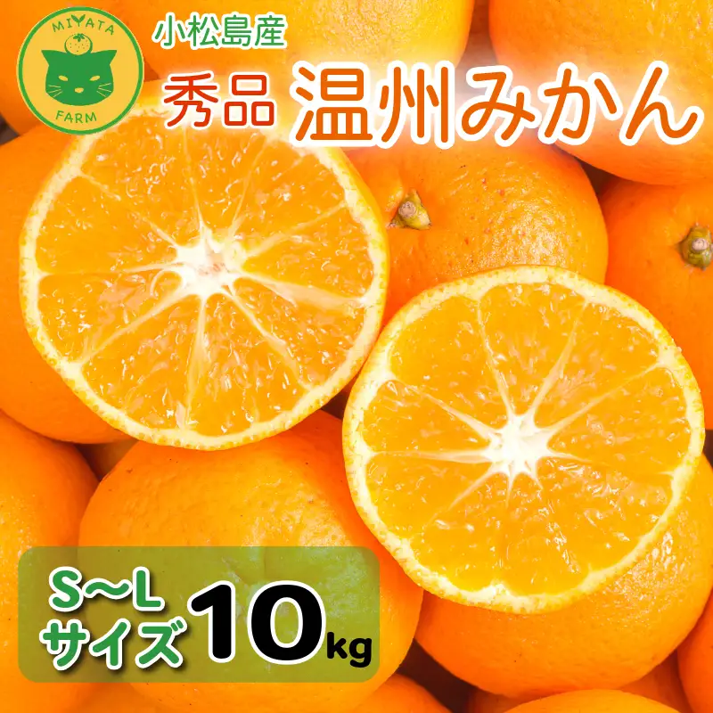 【2026年12月発送】秀品 温州みかん 10kg みかん