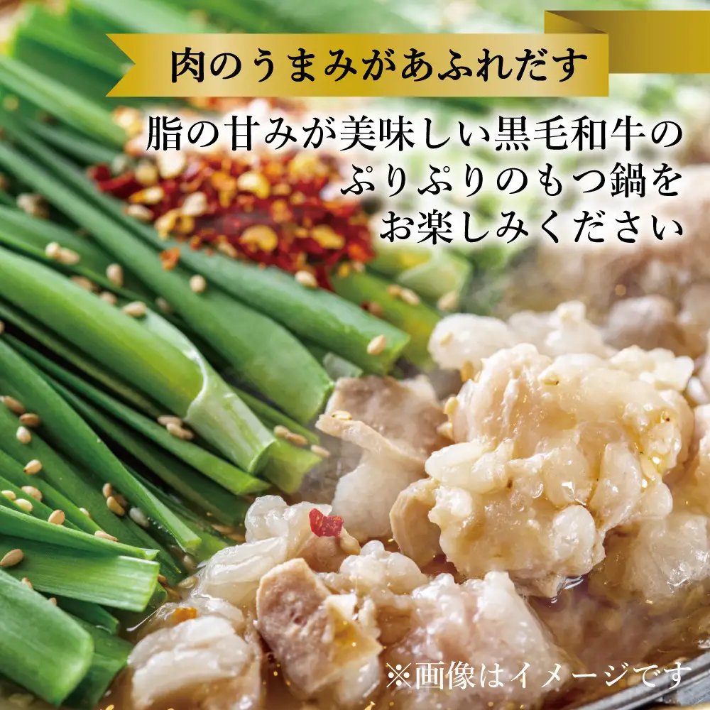 黒毛和牛もつ鍋　白濁 鶏ガラスープ醤油スープ　３〜４人前セット