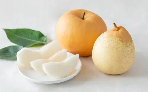 あたご梨・鴨梨（ヤーリー）詰合せ 2玉 合計約2kg 贈答箱 なし 梨 愛宕梨 ナシ 果物 フルーツ 果実 岡山県 倉敷市【2026年11月下旬～12月下旬迄順次発送予定】