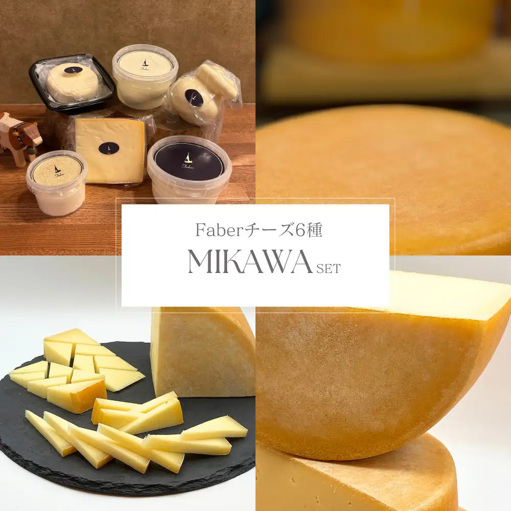 【MOFコンテスト金賞受賞】ファーベル6種のチーズMIKAWA-三河-セット