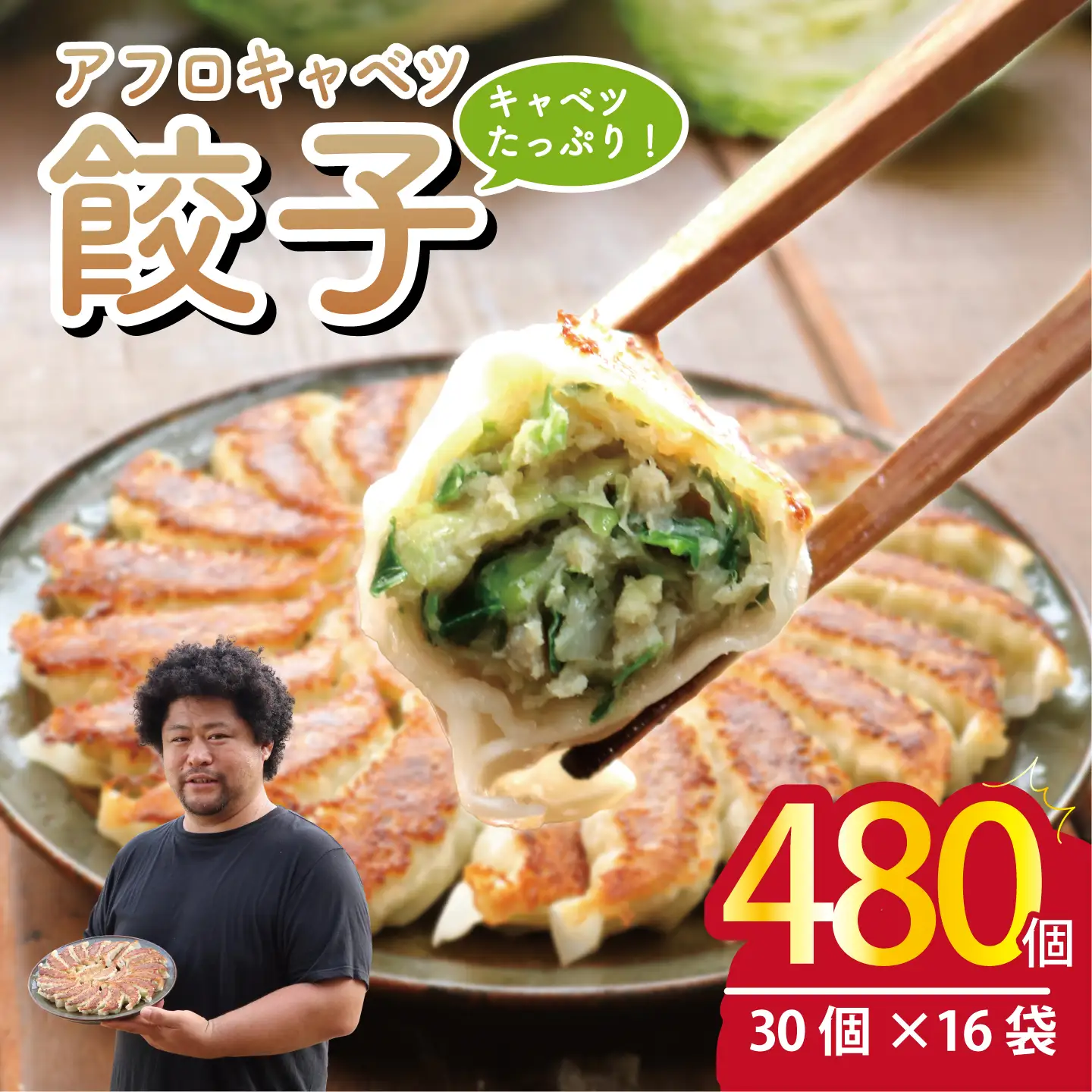 餃子 きゃべつ餃子 480個