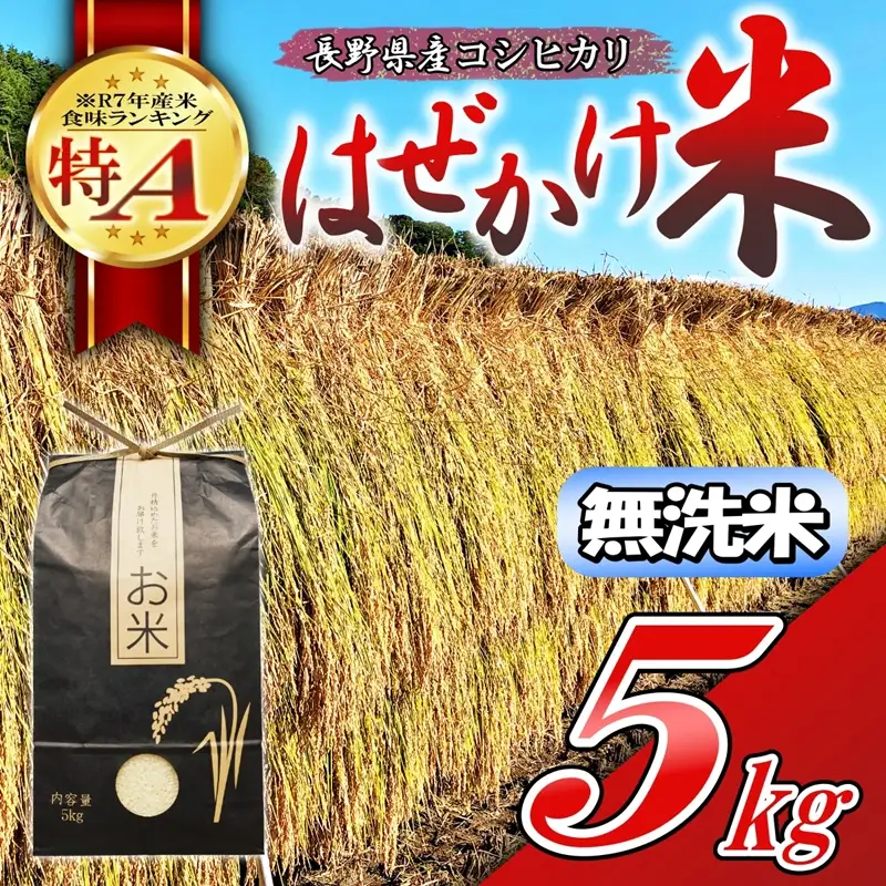 【令和7年産・無洗米５kg】長野県産こしひかり はぜかけ米（北海道・沖縄県・離島は配送不可）産地直送 信州 長野県 佐久市 美味しい うるち米