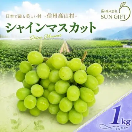 【先行受付】信州高山村産　シャインマスカット1kg(2～3房入り)秀品(訳あり品ではございません)【配送不可地域：離島・北海道・沖縄県】【1740774】