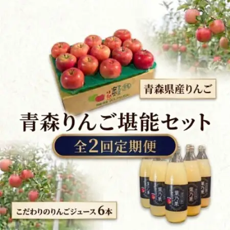 【発送月固定定期便】青森りんご 約3kg+りんごジュース1L×6全2回【配送不可地域：離島・沖縄県】【4087600】