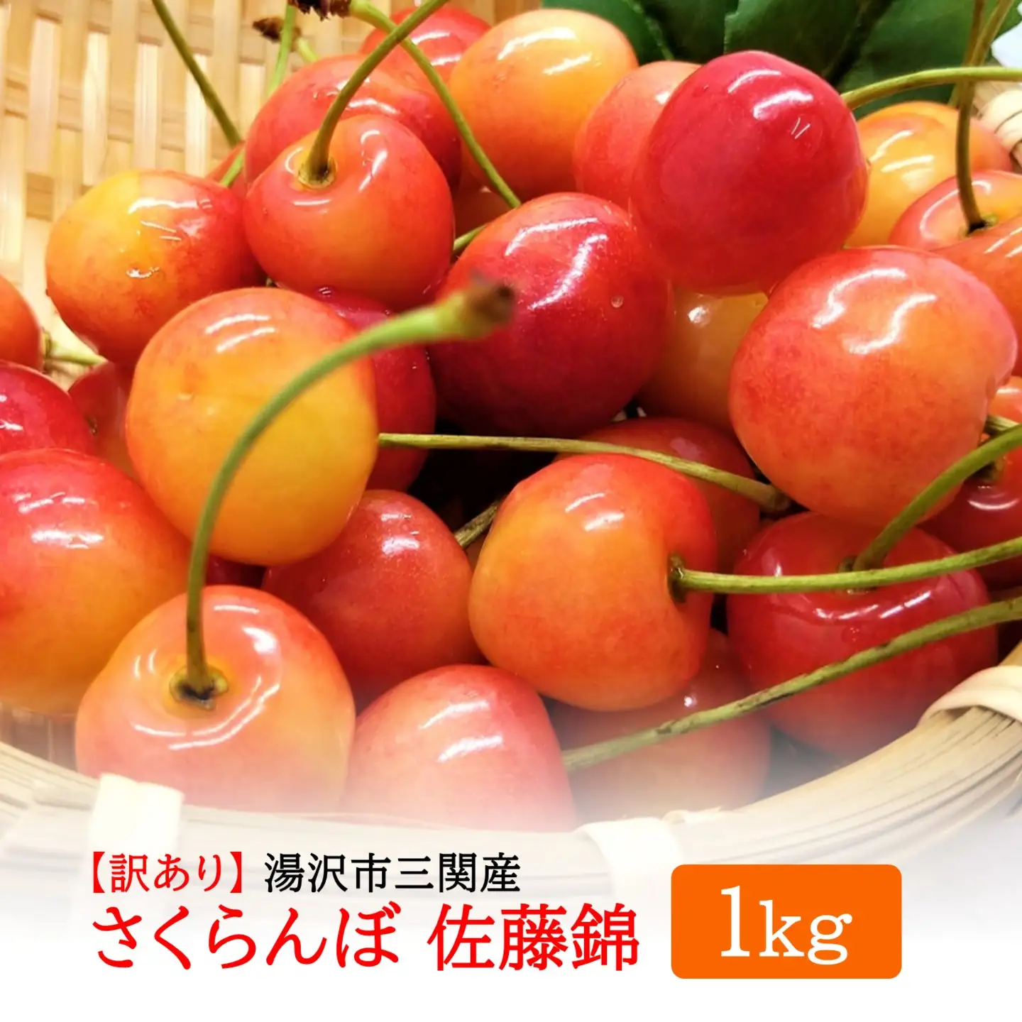 令和8年度産 さくらんぼ（佐藤錦） 訳あり 1kg M～2Lサイズ混合【藤山果樹園】[B6-2802]