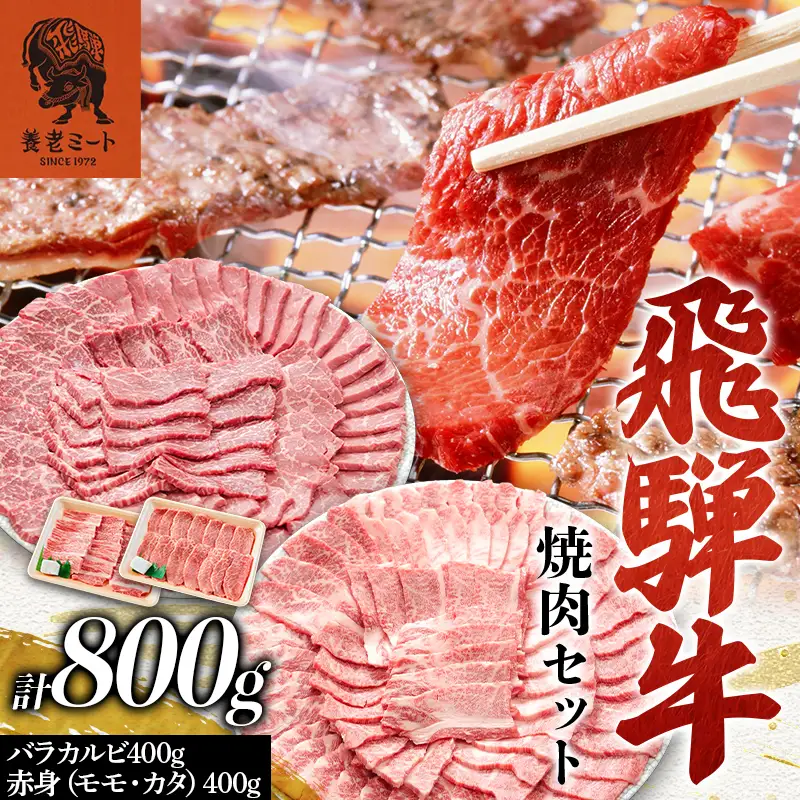 飛騨牛 焼肉セット 800g 焼肉 BBQ 牛肉 和牛 肉 霜降り バラカルビ 赤身 モモ カタ 詰め合わせ ギフト 御祝 内祝 4人前 大容量 岐阜県 坂祝町 養老ミート  F6M-394