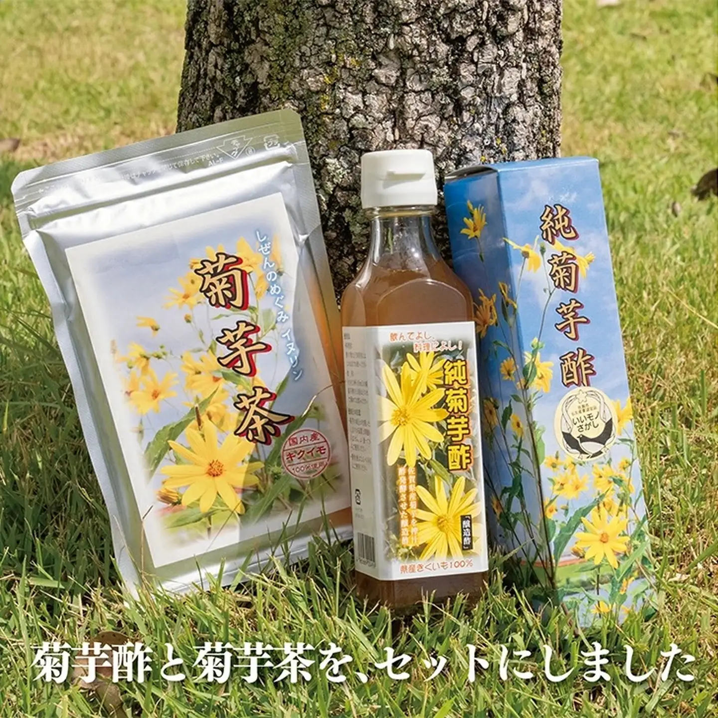菊芋酢サンフラワービネガー(1本)と菊芋茶(1袋)：B130-019