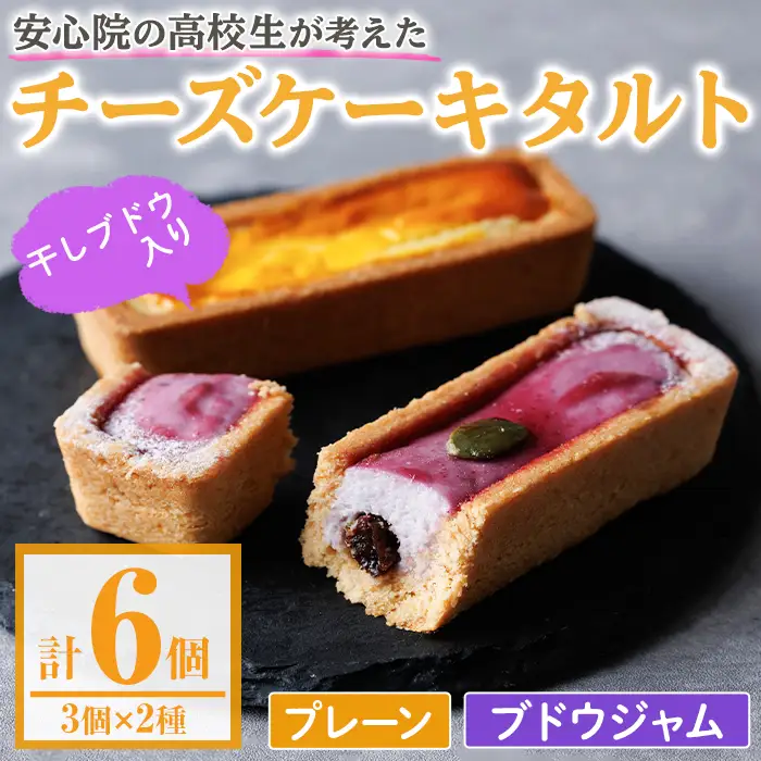 アップサイクルチーズケーキタルトセット(2種・合計6個) チーズケーキ お菓子 おやつ スイーツ 洋菓子 チーズ 冷凍【118900100】【大分県立安心院高等学校】