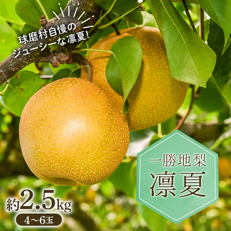 FKP9-714 【先行予約】新品種！一勝地梨 凛夏 約2.5kg なし ナシ デザート フルーツ 果物 くだもの 果実 食品