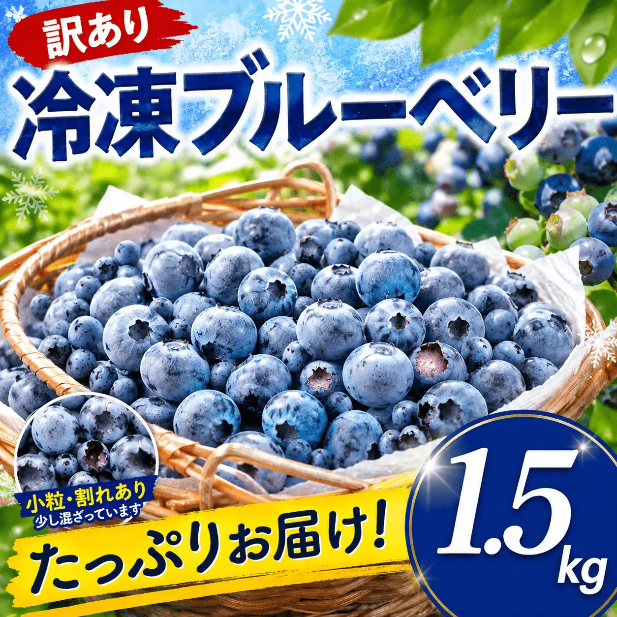 【たっぷり冷凍】 自然 の中で 育った 冷凍 ブルーベリー ( 1.5kg × 1パック )【配送不可地域：離島】【SBF001】