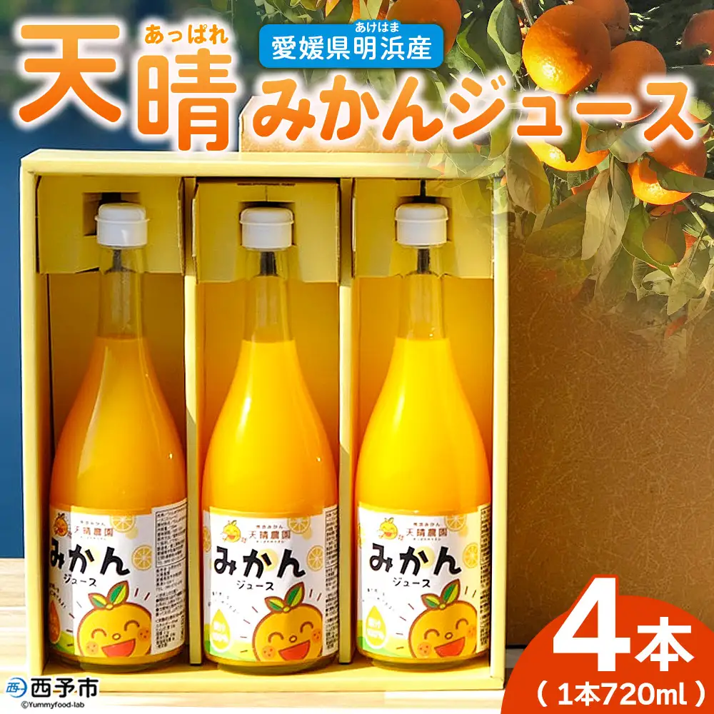 ＜愛媛県明浜産 天晴みかんジュース 720ml×4本セット＞ 蜜柑 みかん ミカン 果物 オレンジ 果汁 ジューシー フルーツ 温州みかん 飲料 ジュース 飲み物 セット 濃厚 株式会社笑丸 特産品 愛媛県 西予市 【常温】 『1か月以内に順次出荷予定』 AAN0059