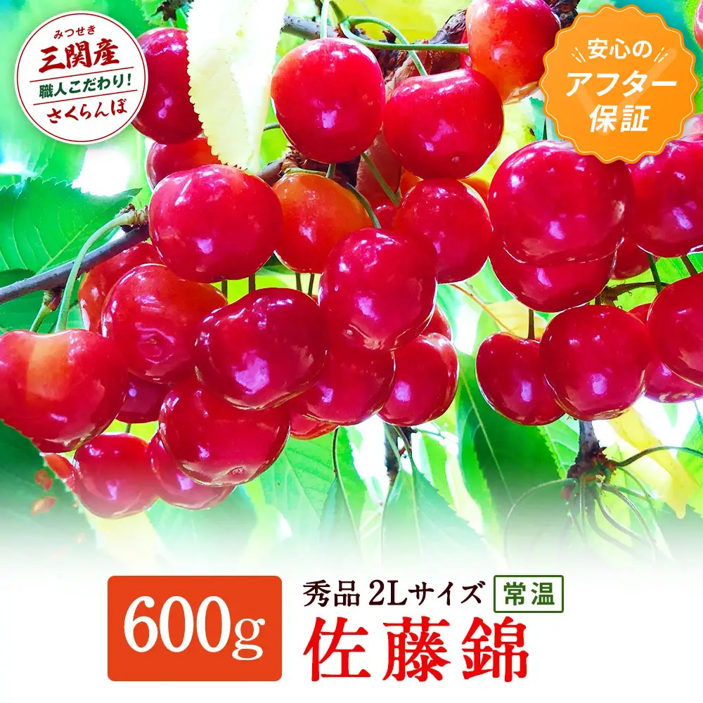 ＼朝採れ 産地直送／ R8年度産 紅秀峰 特秀 2L 600g 市場価値の高い 三関産 さくらんぼ こだわりの【常温】でお届け 訳あり フルーツ 果物 お取り寄せ 秋田 湯沢市 期間限定 サクランボ 数量限定 【奥山果樹園】[B9-7802]