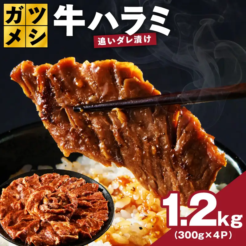 ガツめし牛ハラミ 1.2kg 追いダレ漬け