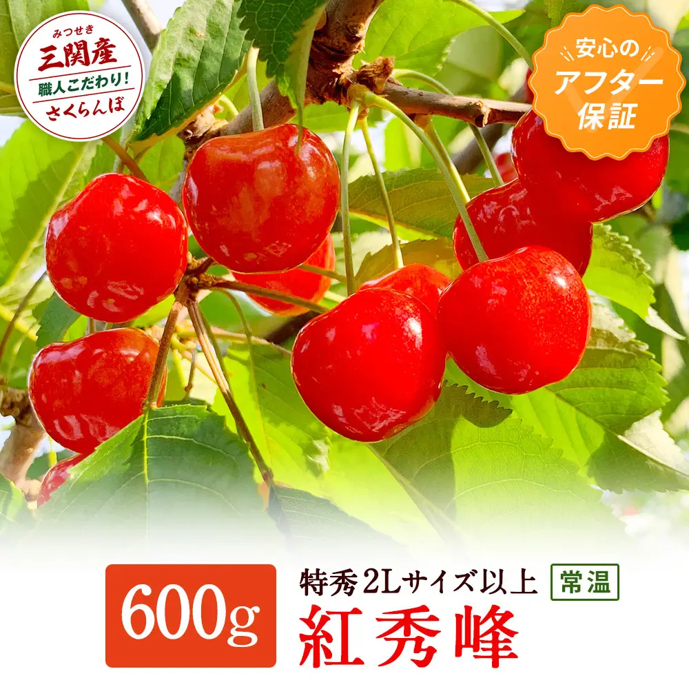 ＼朝採れ 産地直送／ R8年度産 紅秀峰 特秀 2L 600g 市場価値の高い 三関産 さくらんぼ こだわりの【常温】でお届け 訳あり フルーツ 果物 お取り寄せ 秋田 湯沢市 期間限定 サクランボ 数量限定【奥山果樹園】[H1-7802]