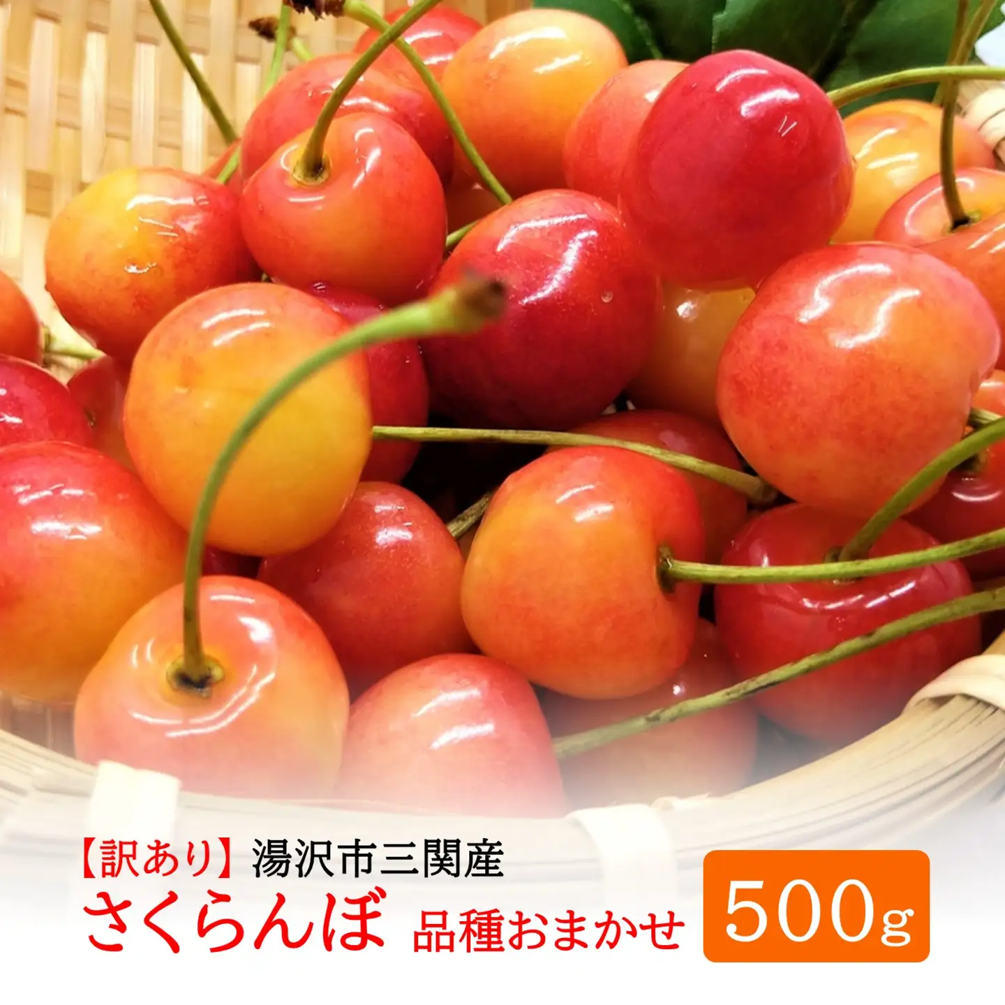 三関産 さくらんぼ 訳あり 500g（250g×2）佐藤錦 紅秀峰 サイズ混合 【藤利果樹園】[B14605]