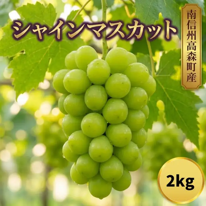 シャインマスカット2kg(3～5房)
