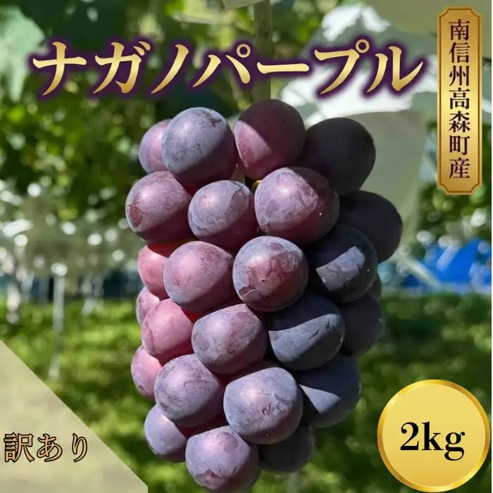 訳ありナガノパープル2kg
