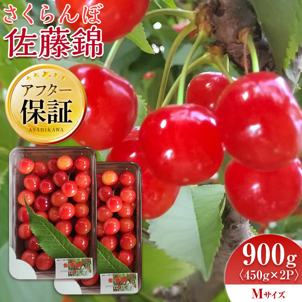 【先行予約】さくらんぼ 佐藤錦 450g×2 Mサイズ (2026年7月上旬から発送開始) | さくらんぼ _05816