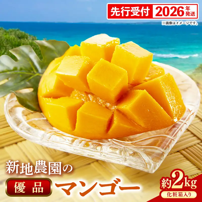 【化粧箱入り】【先行受付・2026年発送】新地農園 アップルマンゴー 優品 約2kg （4～6玉）- 産地直送 先行予約 沖縄県産 贈り物 ギフト 南国フルーツ 旬の味覚 オススメ 沖縄県 八重瀬町
