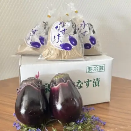 泉州名物水なす浅漬け3個+生水なす2個【配送不可地域：離島】【1736895】