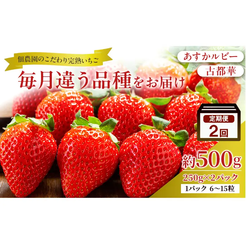 先行予約 【2回定期】毎月違う品種をお届け！奈良 いちご あすかルビー 古都華 ブランド イチゴ フルーツ ことか 定期便　250g×2パック 2回 奈良県 大和郡山市