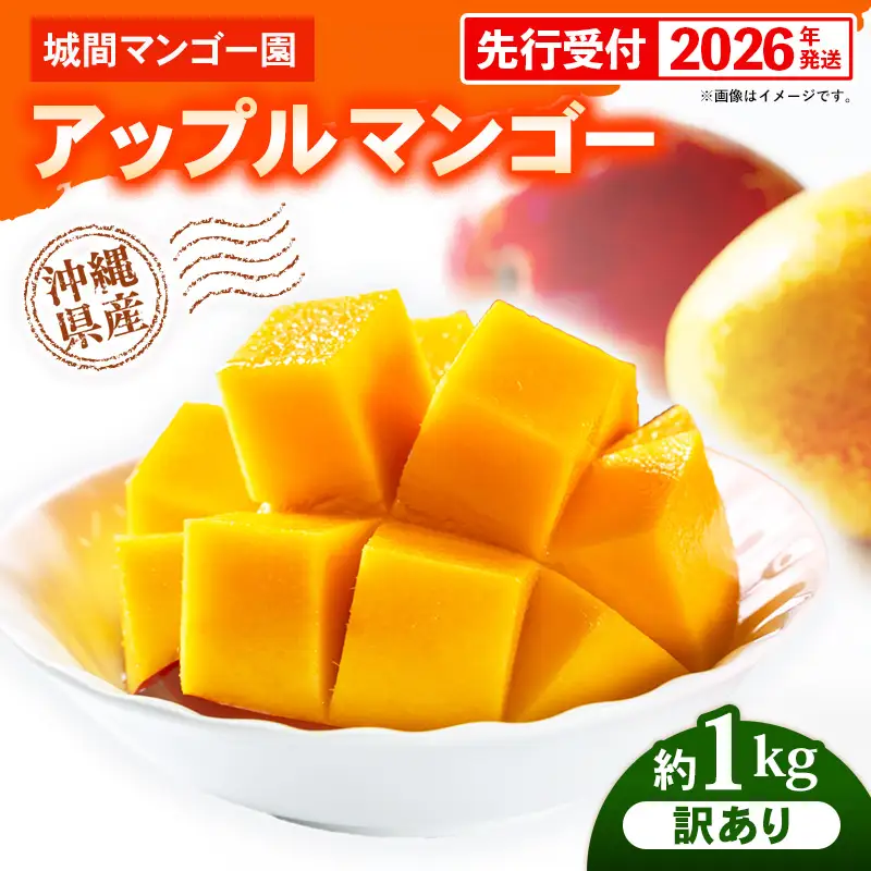 【先行受付】【2026年発送】城間マンゴー園のアップルマンゴー 訳あり 約1kg - 先行予約 沖縄県産 産地直送 南国フルーツ 旬の味覚 季節の果物 ご自宅用 訳アリ 家庭用 沖縄マンゴー 沖縄県 八重瀬町