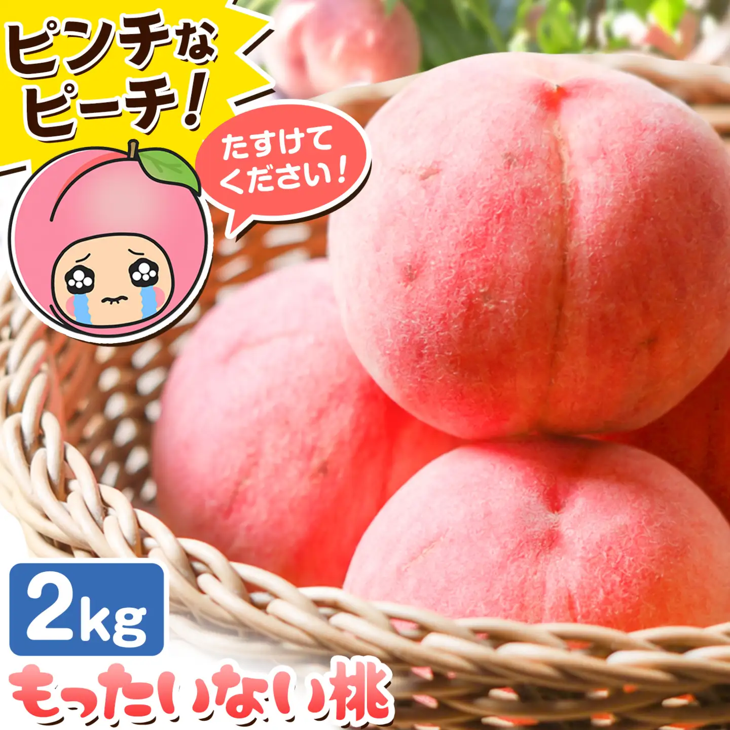 もったいない桃 約2kg【配送不可地域あり】