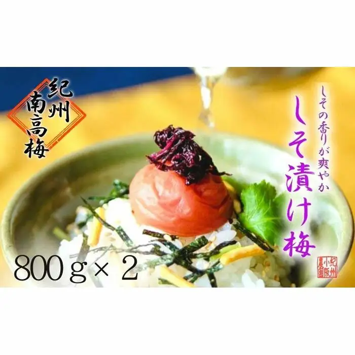 しそ漬け梅　特選　(800ｇ×2パック）紀州南高梅【梅農家手づくり梅干】