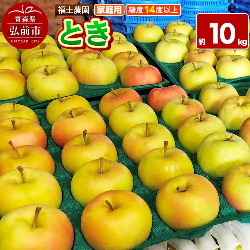 【26年9月下旬～発送】りんご とき【家庭用】約10kg 糖度14度以上保証 青森県 弘前市