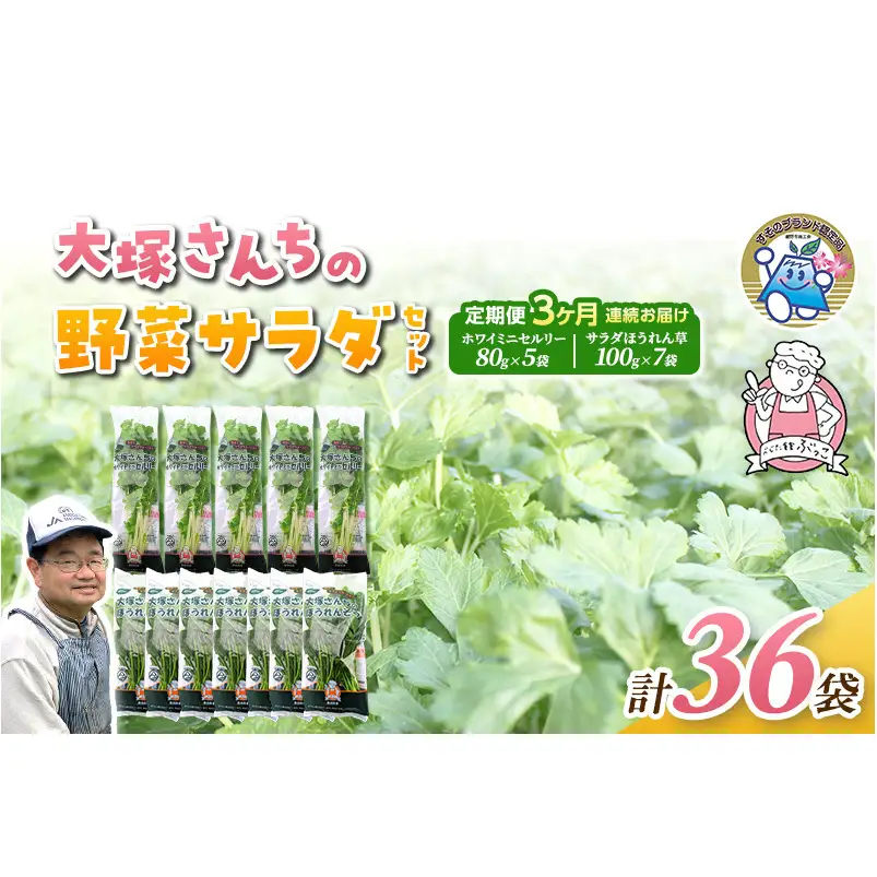 定期便 3回 ホワイトミニセルリー 5袋 ＆ サラダほうれん草 7袋 計36袋 野菜 詰め合わせ 毎月届く 3ヶ月 セロリ ほうれんそう 新鮮 産地直送 野菜セット 詰合せ