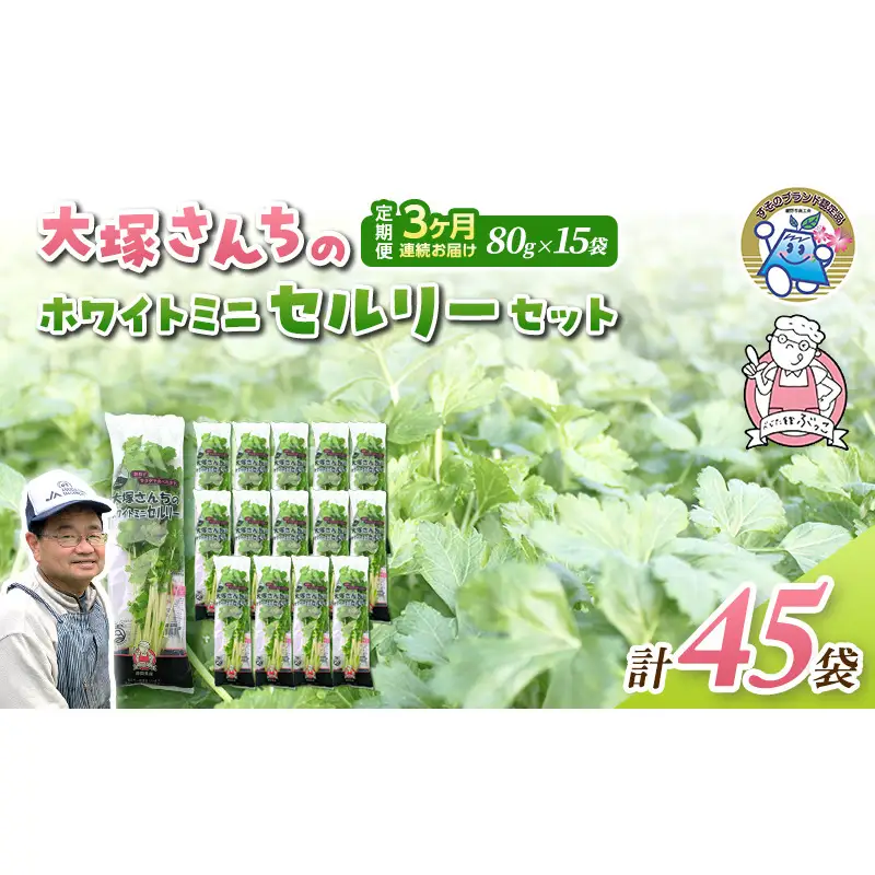 定期便 3回 ホワイトミニセルリー 15袋  計45袋 野菜 詰め合わせ 毎月届く 3ヶ月 セロリ ミニセロリ 新鮮 産地直送 サラダ 野菜セット 詰合せ