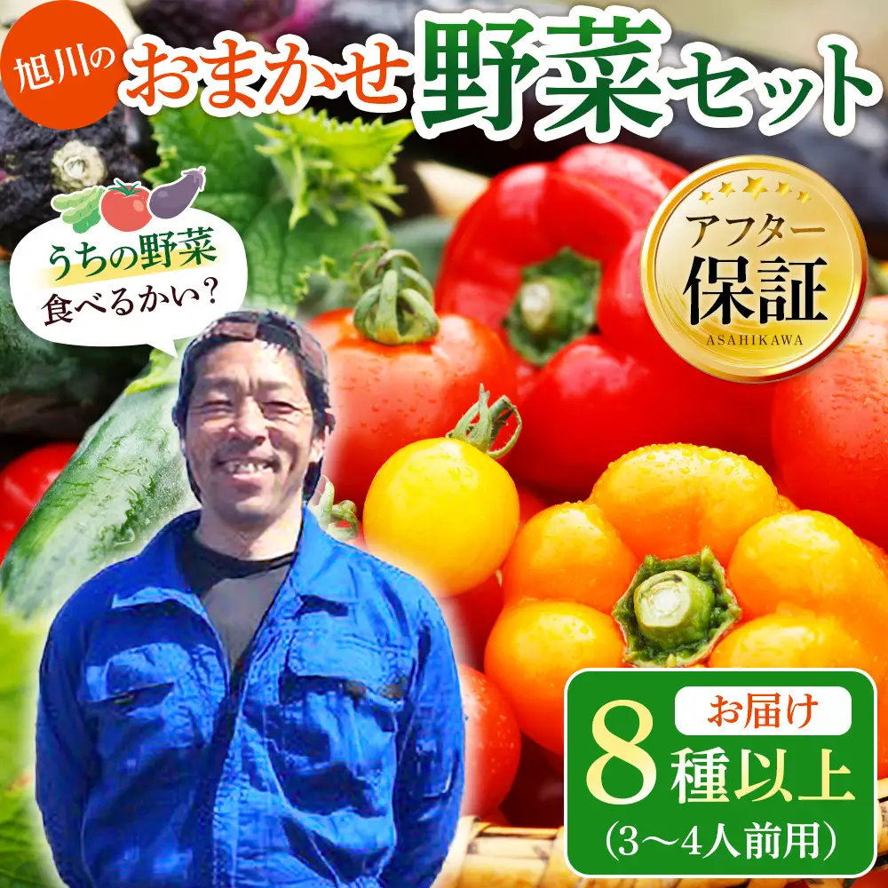 【先行予約】旭川のおまかせ野菜セット(8種以上) (2026年7月下旬発送開始) 野菜セット _05909