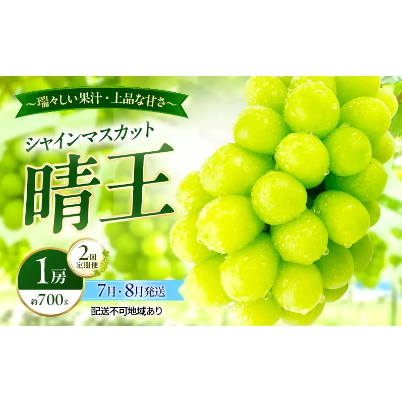 ぶどう 2026年 先行予約 定期便 シャインマスカット 晴王 1房 約700g 7月・８月 2回発送 岡山県産 種無し 皮ごと食べる みずみずしい 甘い 温室栽培 瀬戸内 晴れの国 おかやま 果物大国 満天フルーツ