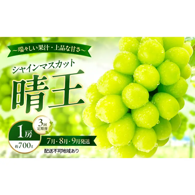 ぶどう 2026年 先行予約 定期便 シャインマスカット 晴王 1房 約700g 7月・8月・9月 3回発送 岡山県産 種無し 皮ごと食べる みずみずしい 甘い 瀬戸内 晴れの国 おかやま 果物大国 満天フルーツ
